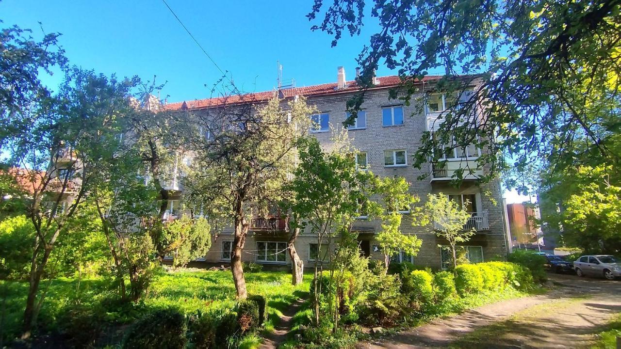 Trendy Old Town Area - Paupys Nature Treat Apartment VNO Dış mekan fotoğraf